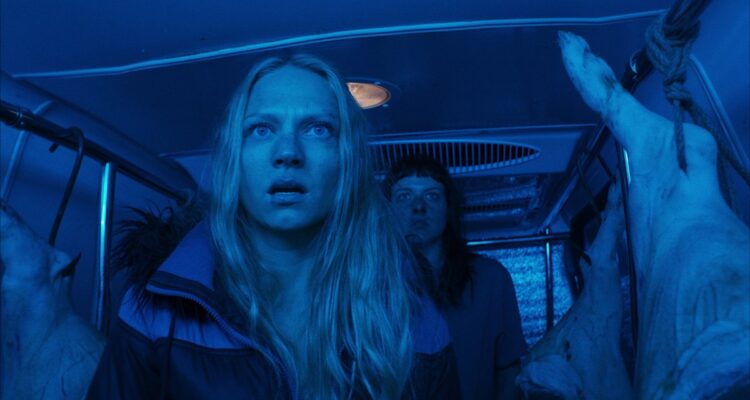 The Black Hole Must auk