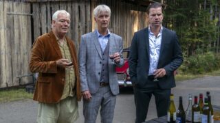 Therapie für Wikinger Den Sidste viking The Last Viking