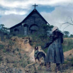 Tomorrow Before After