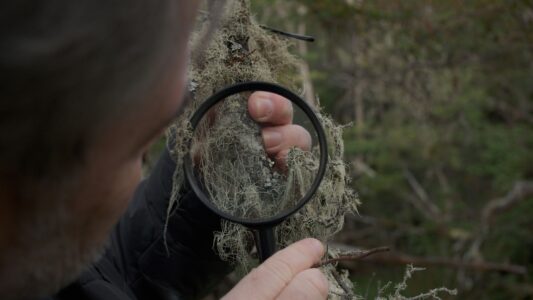 Archipele des Herzens