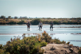 Barren Land – Die Macht des Kartells