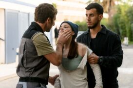 Charlotte Link Die Entscheidung Tv Fernsehen Das Erste ARD Streamen online Mediathek Video on Demand DVD kaufen