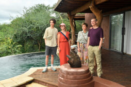 Das Traumschiff Afrika: Madikwe TV Fernsehen ZDF Streamen online Mediathek Video on Demand DVD kaufen Herzkino