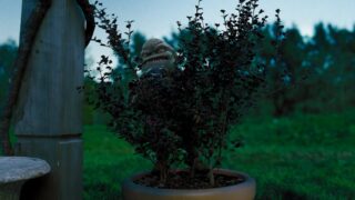 Die Noobs – Klein aber gemein Aliens in the Attic Tv Fernsehen tele 5 Streamen online Mediathek Video on Demand DVD kaufen