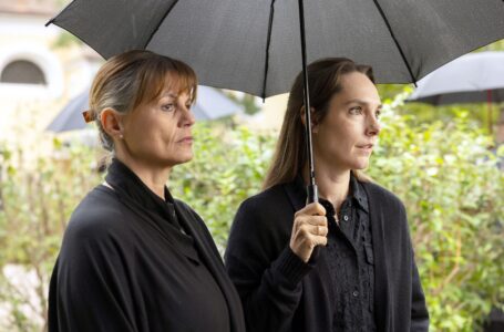 Dorfkrimi: Die Uhudler Verschwörung Ein Stinatz Krimi Tv Fernsehen arte Streamen online Mediathek Video on Demand DVD kaufen