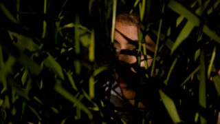 Echoes from Borderland