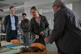 Ein starkes Team - Das letzte Opfer Tv Fernsehen ZDF Streamen online Mediathek Video on Demand DVD kaufen