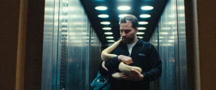 Gropiusstadt Supernova