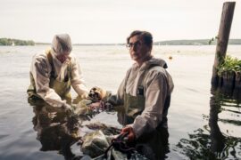 Haveltod - Ein Potsdam-Krimi Im Kopf eines Killers Tv Fernsehen RTL Streamen