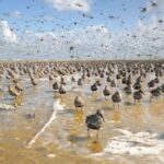 Im Licht der Sandbank