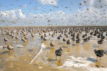 Im Licht der Sandbank