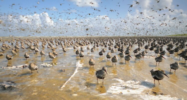 Im Licht der Sandbank