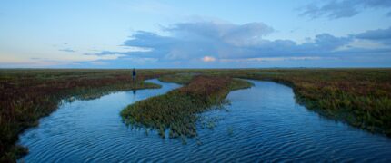 Im Licht der Sandbank
