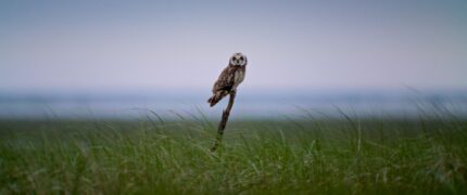 Im Licht der Sandbank