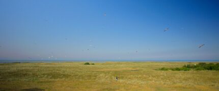 Im Licht der Sandbank