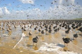 Im Licht der Sandbank