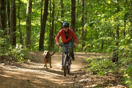 Max Bester Freund Held Retter
