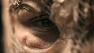 Play Dead – Die Todgeweihte 2025