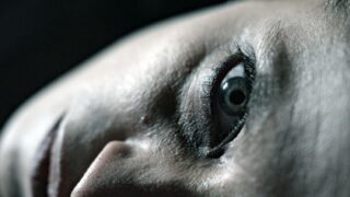 Play Dead – Die Todgeweihte 2025