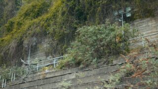 Architektur des Gluecks