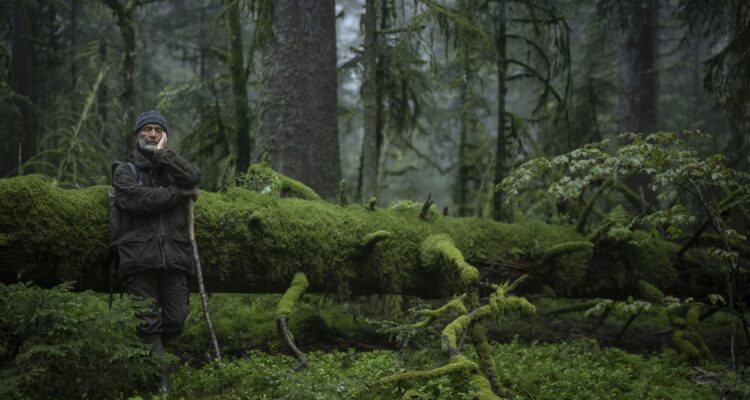 Das Fluestern der Waelder Le Chant des Forêts