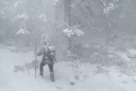Das Fluestern der Waelder Le Chant des Forêts