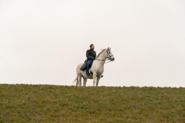 Der Schimmelreiter (2025)