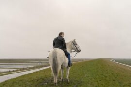 Der Schimmelreiter (2025)