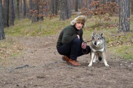 Dünentod - Ein Nordsee-Krimi Blutiges Moor Tv Fernsehen RTL Streamen online Mediathek Video on Demand DVD kaufen