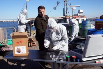 Dünentod - Ein Nordsee-Krimi Die große Freiheit TV Fernsehen RTL Streamen online Mediathek Video on Demand DVD kaufen