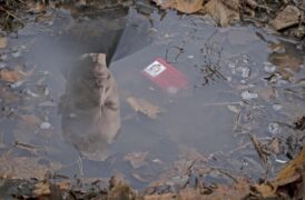 Tatort: Gefahrengebiet Tv Fernsehen Das Erste ARD Streamen online Mediathek Video on Demand DVD kaufen