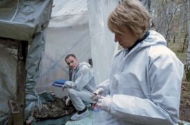 Tatort: Gefahrengebiet Tv Fernsehen Das Erste ARD Streamen online Mediathek Video on Demand DVD kaufen