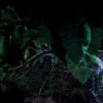 Yurugu – Invisible Lines