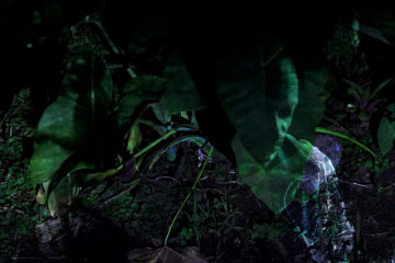 Yurugu – Invisible Lines