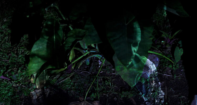 Yurugu – Invisible Lines