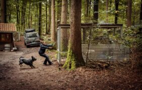 Behringer und die Toten - Ein Bamberg-Krimi Tv Fernsehen RTL+ Streamen online Video on Demand Mediathek