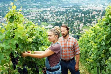 Der Bozen-Krimi: Rebenblut TV Fernsehen Das Erste ARD Streamen online Mediathek Video on Demand DVD kaufen