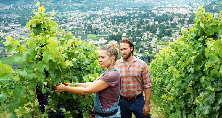 Der Bozen-Krimi: Rebenblut TV Fernsehen Das Erste ARD Streamen online Mediathek Video on Demand DVD kaufen