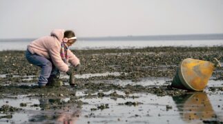 Der Dänemark-Krimi: Die Tote in den Dünen Tv Fernsehen Das Erste ARD Streamen online Mediathek Video on Demand DVD kaufen