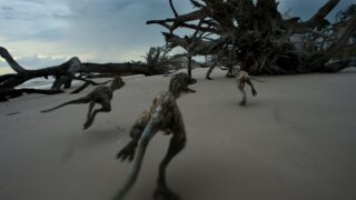 Die Dinosaurier Netflix