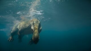 Die Dinosaurier Netflix