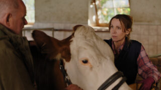 Die Maiwald Verstärkung TV Fernsehen ZDF Streamen online Mediathek Video on Demand DVD kaufen