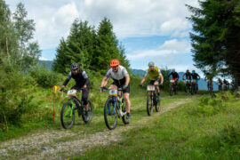 Einfach Elli Verzeihen TV Fernsehen ZDF Streamen online Mediathek Video on Demand DVD kaufen