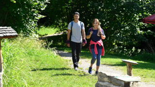 Frühling - Leben oder nicht! TV Fernsehen ZDF Streamen online Mediathek Video on Demand DVD kaufen