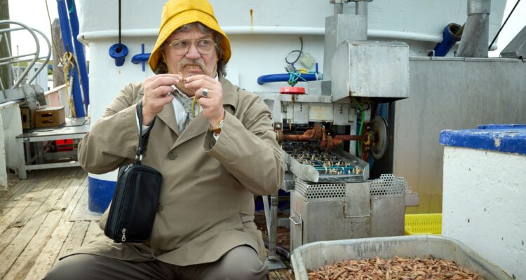 Horst Schlämmer sucht das Glück