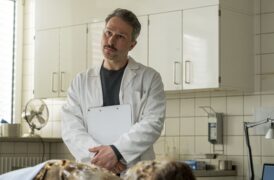 Polizeiruf 110: Ablass Tv Fernsehen Das Erste ARD Streamen online Mediathek Video on Demand DVD kaufen