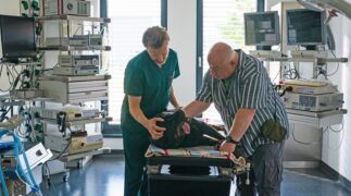 Zwei Frauen für alle Felle - Neues Glück Tv Fernsehen Das Erste ARD Streamen online Mediathek Video on Demand DVD kaufen