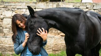 Zwei Frauen für alle Felle: Pferdeliebe Tv Fernsehen Das Erste ARD Streamen online Mediathek Video on Demand DVD kaufen