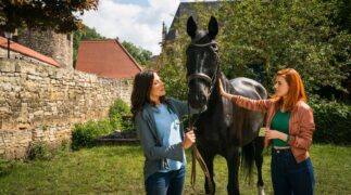 Zwei Frauen für alle Felle: Pferdeliebe Tv Fernsehen Das Erste ARD Streamen online Mediathek Video on Demand DVD kaufen
