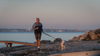 Dan Sommerdahl - Tödliche Idylle Miss Sunshine TV Fernsehen ZDF Streamen online Mediathek Video on Demand DVD kaufen